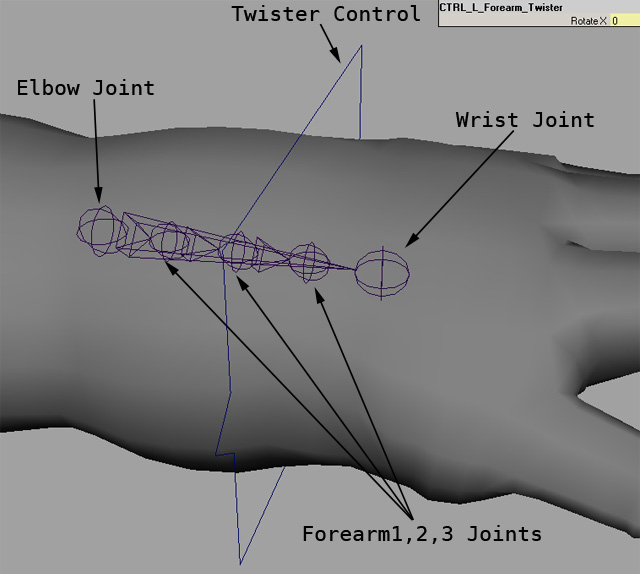 Forearm Twist: An Animation Solution - Kiel Figgins